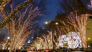 表参道・欅通りイルミネーション２０１５