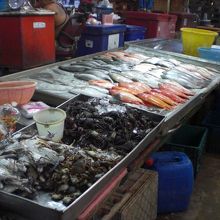 カニ、鮮魚等を氷で冷やしつつ、鮮度を保っている店があります。