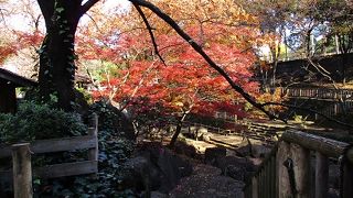 かつての渓流を再現