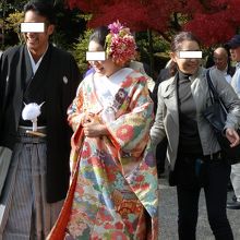 武田神社で結婚式を挙げるカップル。