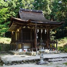 埋れ林 神代桧 入母屋作り三社 埋れ林 神代桧 入母屋作り三社