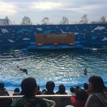 １０００人収容できるようです。