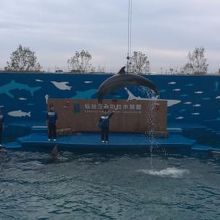 なかなかのジャンプ力！