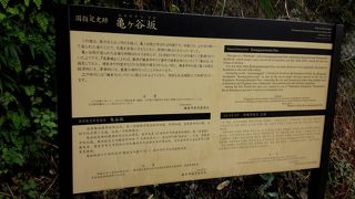 景色がよかったです