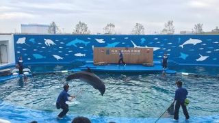 仙台うみの杜水族館