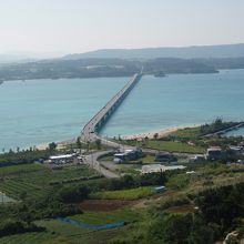 タワーからの眺め