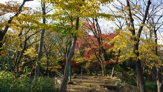 屋敷内庭園の築山の一部が残っていて