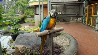 大人も子供も一人でもグループでも楽しめる場所