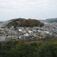 千姫が毎日眺めたという、男山