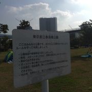 豊洲公園に隣接