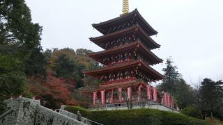 桜や紅葉の見ごろにはライトアップ