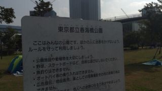 豊洲公園に隣接