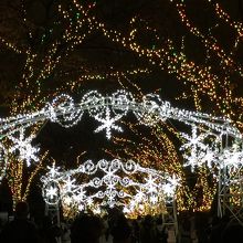 イルミネーションストリート