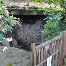 洞窟風呂入口