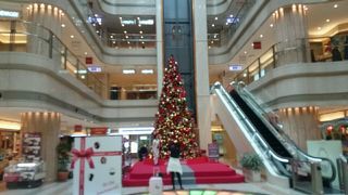 巨大クリスマスツリー