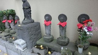 心和む約200体のお顔