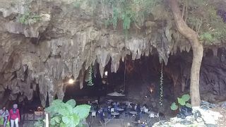 歴史と自然を感じるカフェです。