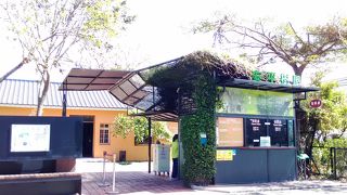 想像を絶する樹木の生命力に驚きました