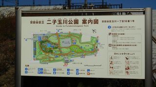 新しい広々とした公園
