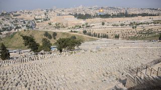 神殿域を見渡せる山