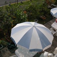 2階から庭を見下ろす