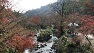 熱海の梅園の中を流れる美しい清流
