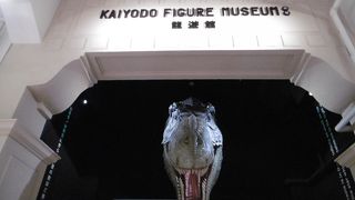 フィギュアとガチャガチャがいっぱい