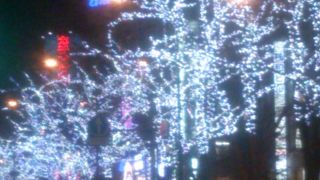 大通公園がキラキラしています