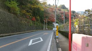 熱海梅園の西側を走る県道