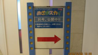 実際のセットにドキドキ