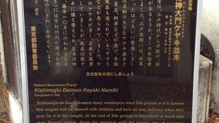 植え替えられている