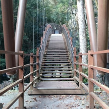 前半は余裕だった