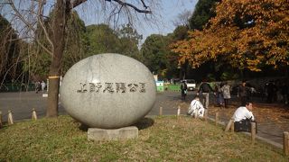 賑わってました