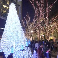 原宿方面からの入り口に飾られているツリーと表参道