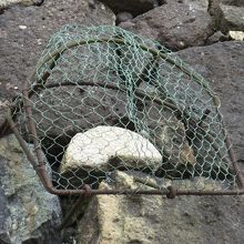 秀吉の人柄を想わせる姥ヶ石。この臼のお蔭で工事が捗りました。