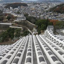 二年経っても美しい、漆喰の屋根。