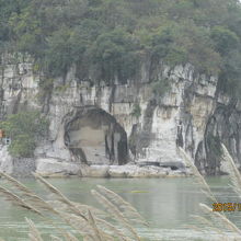 象の鼻の形が見えて来る。