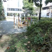 公園とは名ばかり