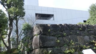 高層ビルとのコントラストが美しい