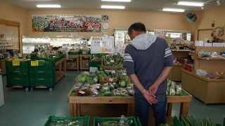 野焼きとかがお勧めです