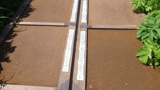 ハイキングを楽しめる