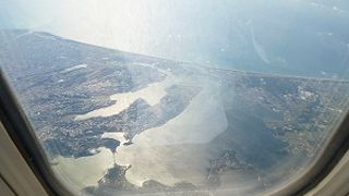 大きかったです