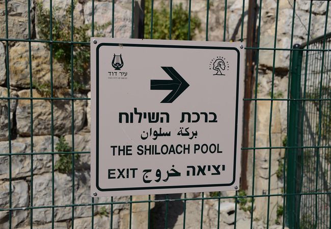 シロアムの池