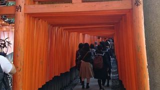 有名な千本鳥居