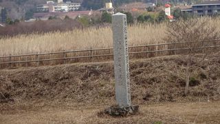 見たのは冬枯れのススキの原に立つ石柱のみ。