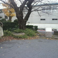 旧来の１等水準点が記念碑のすぐ横に残されています。