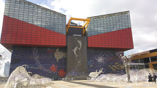 ジンベエのいる水族館