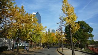 季節ごとに楽しめる公園　行事も色々やっています