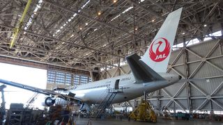 整備中の飛行機を下から見られる