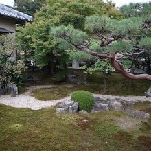 光琳曲水の庭